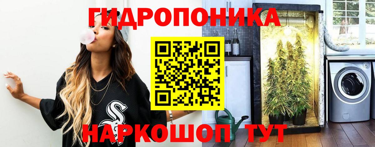 Марихуана семена  Марихуана OG Kush  Бошки Шишки LSD WEED  Вход с VPN  Сегежа  Бошки марихуана VHQ 